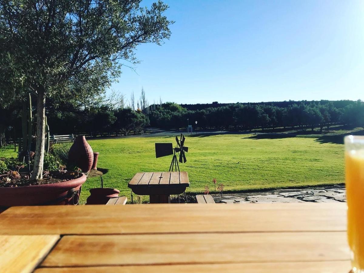 فيلا Olive Grove Guest Farm بوفورت ويست المظهر الخارجي الصورة