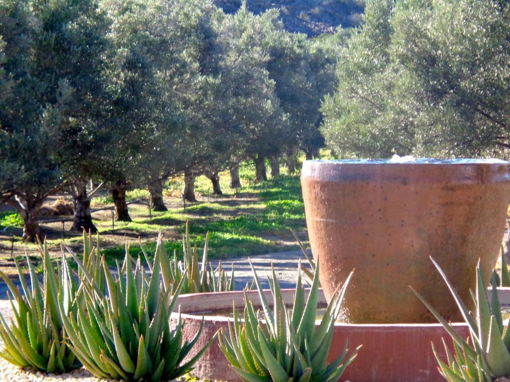 فيلا Olive Grove Guest Farm بوفورت ويست المظهر الخارجي الصورة