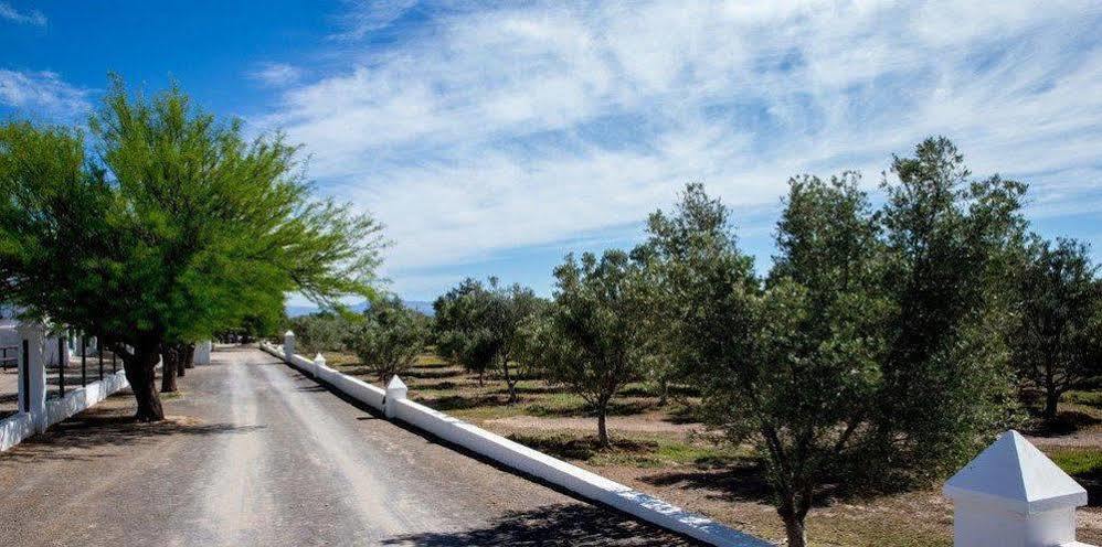 فيلا Olive Grove Guest Farm بوفورت ويست المظهر الخارجي الصورة